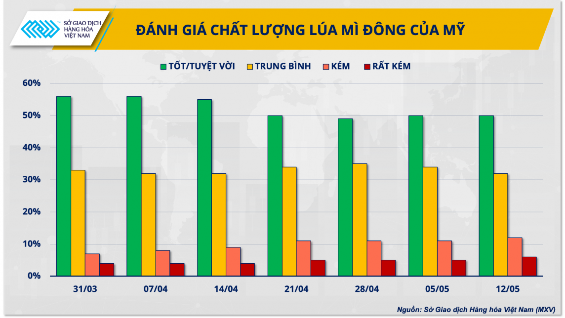 Sau ngô, giá lúa mì cũng đối mặt với nguy cơ tăng mạnh