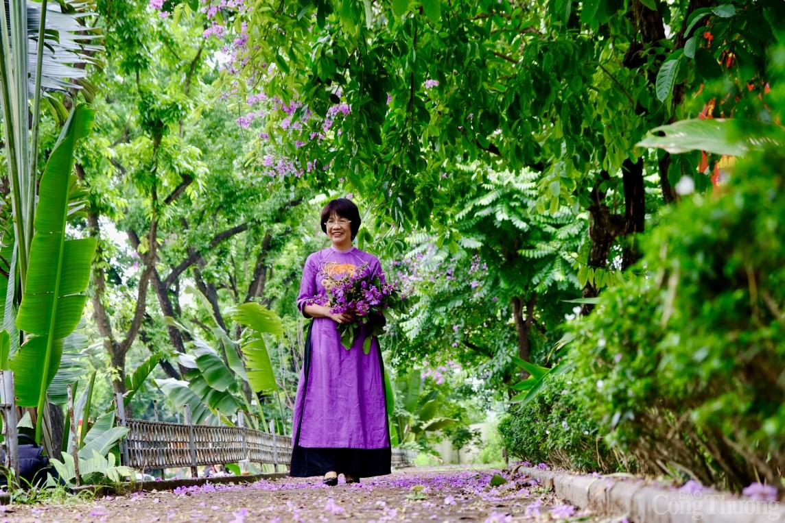 Chiêm ngưỡng hàng ngàn bông hoa Bằng Lăng nhuộm tím phố phường Hà Nội