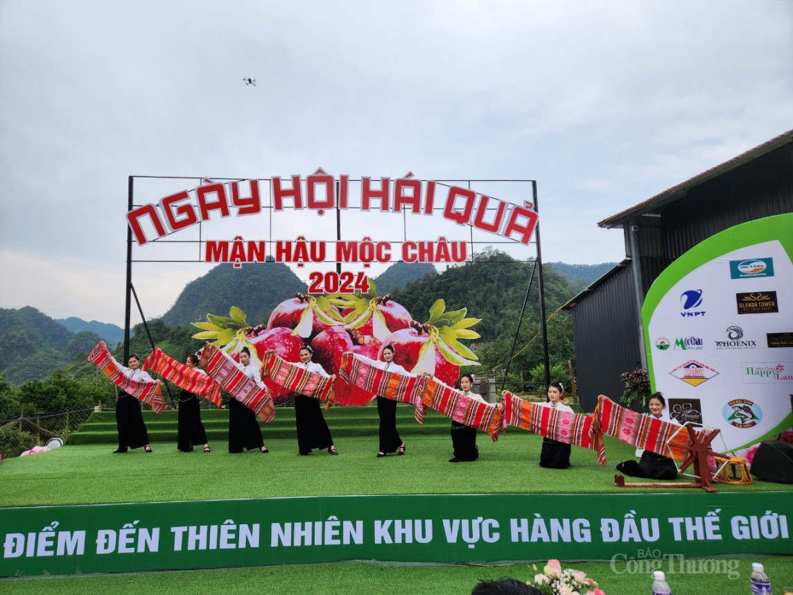 Ngày hội hái quả