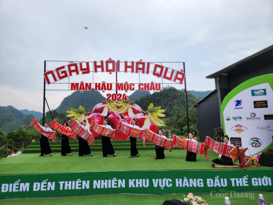 Sôi động Ngày hội hái quả Mận hậu Mộc Châu 2024 Sôi động Ngày hội hái quả Mận hậu Mộc Châu 2024