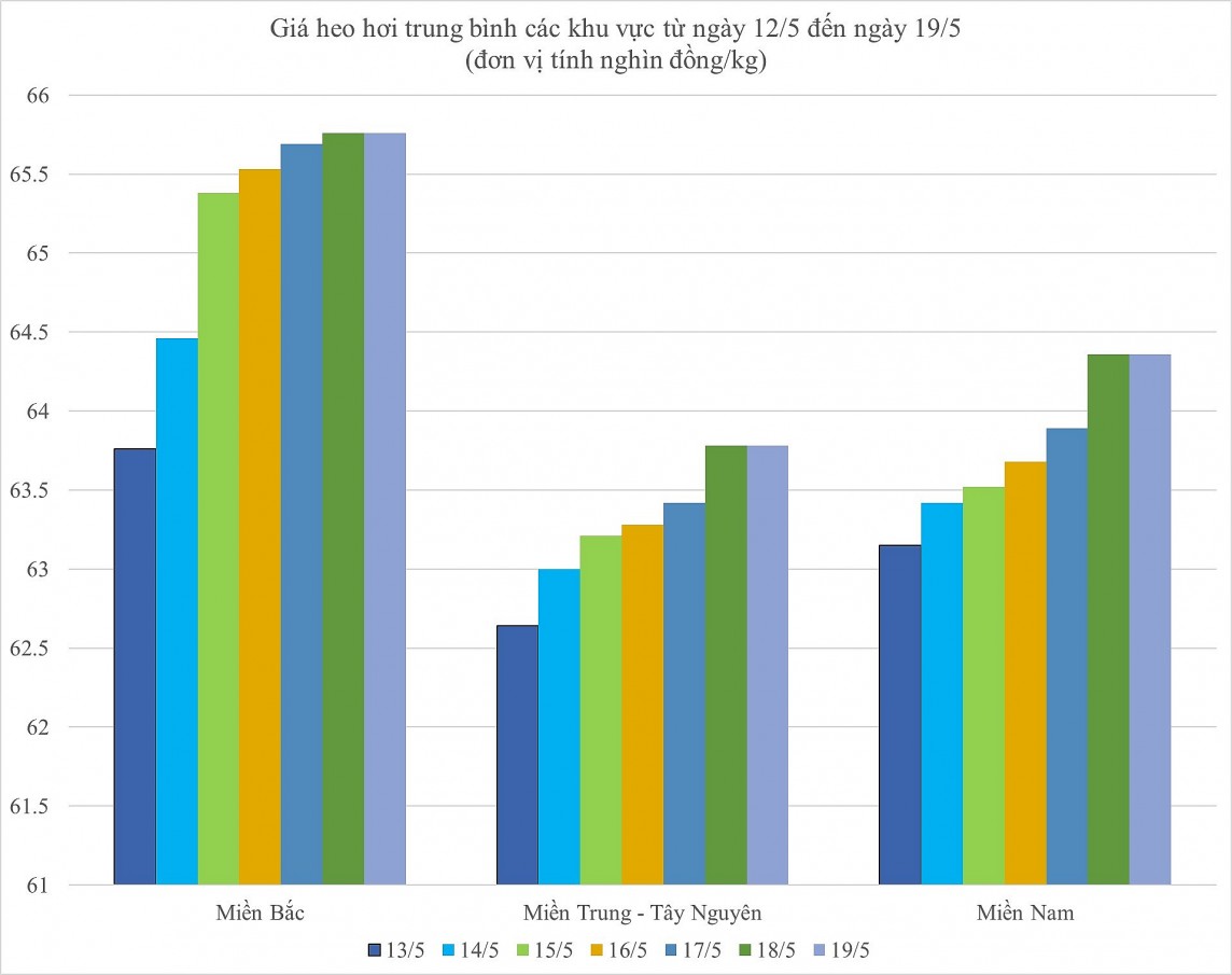 Giá heo hơi hôm nay ngày 19/5/2024: Trung bình quanh mức 65.000 đồng/kg