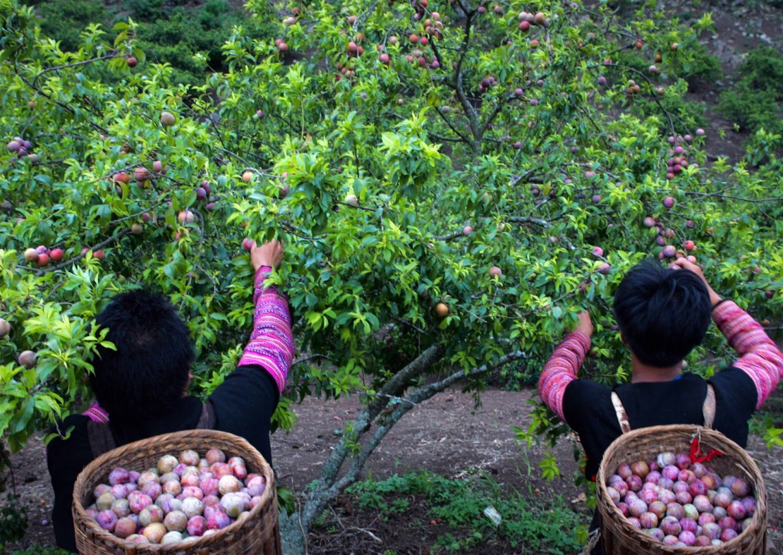 Sơn La phát triển mạnh du lịch, cải thiện đời sống bà con vùng dân tộc thiểu số