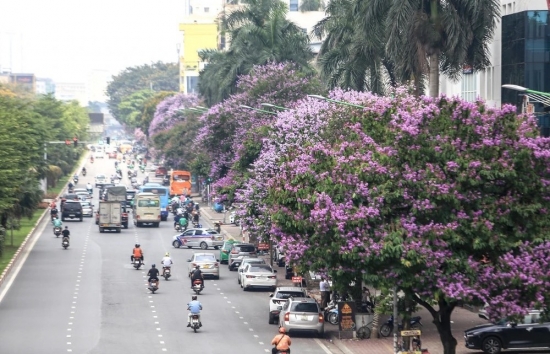 Dự báo thời tiết Hà Nội ngày mai 20/5/2024: Hà Nội ngày nắng, chiều tối mưa dông