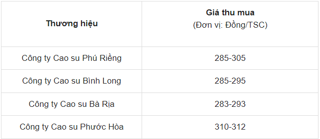 Giá cao su hôm nay 19/5/2024: Giá cao su thế giới tăng sốc, giá cao su trong nước 