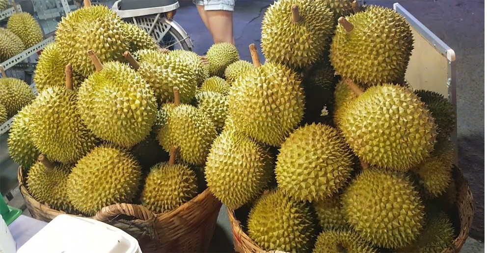 Dịch vụ vận chuyển sầu riêng đi Hải Phòng nhanh chóng tại Vận tải Á Châu.