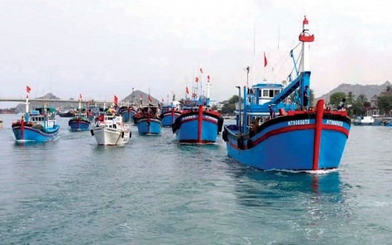 nam dinh kien quyet xu ly vi pham quy dinh ve he thong giam sat hanh trinh tau ca