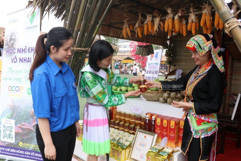 Thái Nguyên: Hơn 645 tỷ đồng hỗ trợ vùng đồng bào dân tộc thiểu số và miền núi