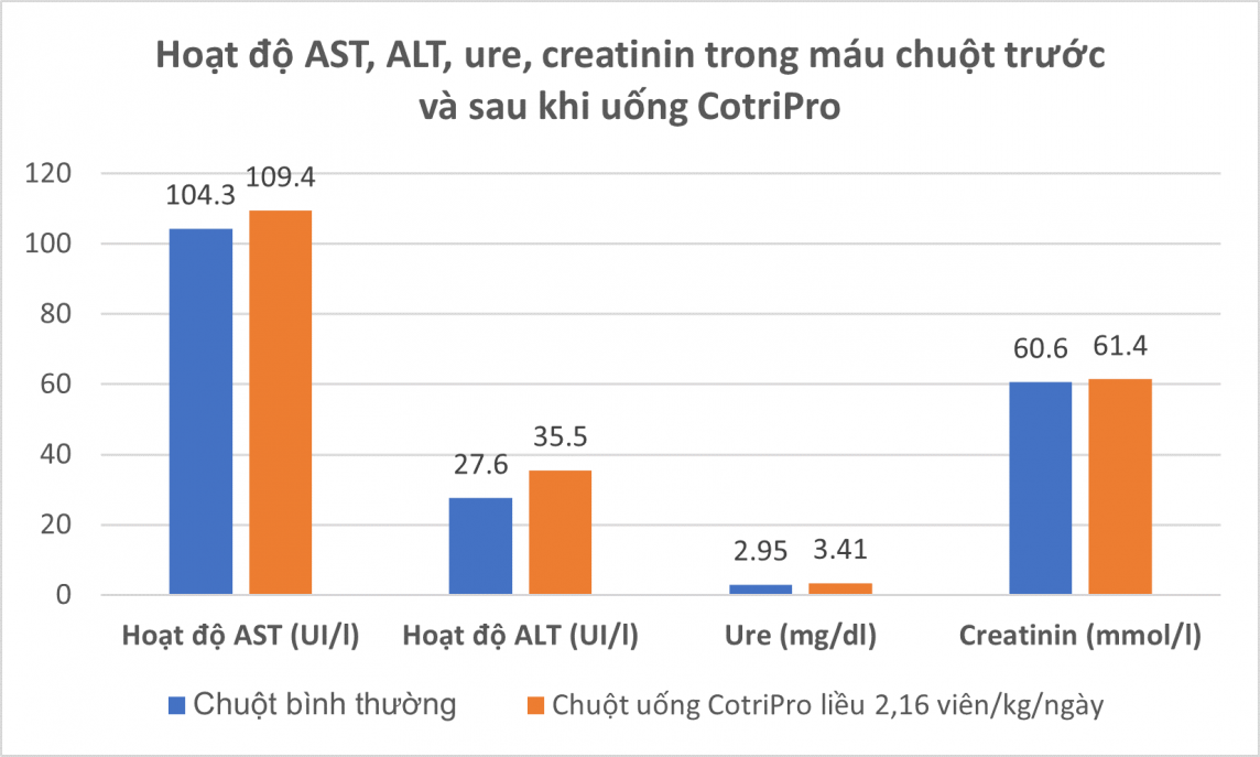 Công bố nghiên cứu tác dụng hỗ trợ điều trị trĩ của CotriPro tại Đại học Y Hà Nội