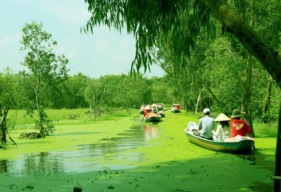 viet namuc to chuc khoa hoc chung chi vi mo truc tuyen ve du lich ben vung