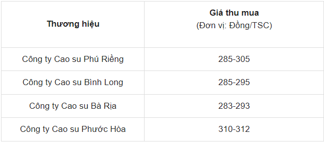 Giá cao su ngày 24/5/2024: Tiếp tục tăng cao