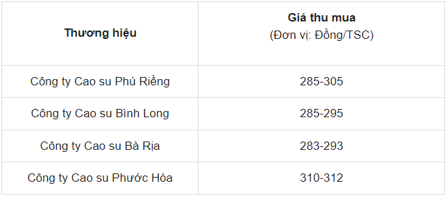 Dự báo giá cao su ngày 27/5/2024: Tiếp diễn đà tăng mạnh mẽ?