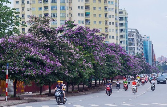 Dự báo thời tiết Hà Nội ngày mai 27/5/2024: Hà Nội ngày nắng oi, tối mưa dông