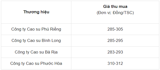 Dự báo giá cao su ngày 28/5/2024: Bật tăng chóng mặt?