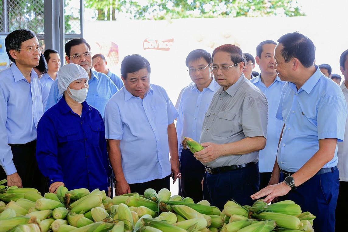 Thủ tướng Chính phủ kiểm tra thi công tuyến đường Đông - Tây tỉnh Ninh Bình