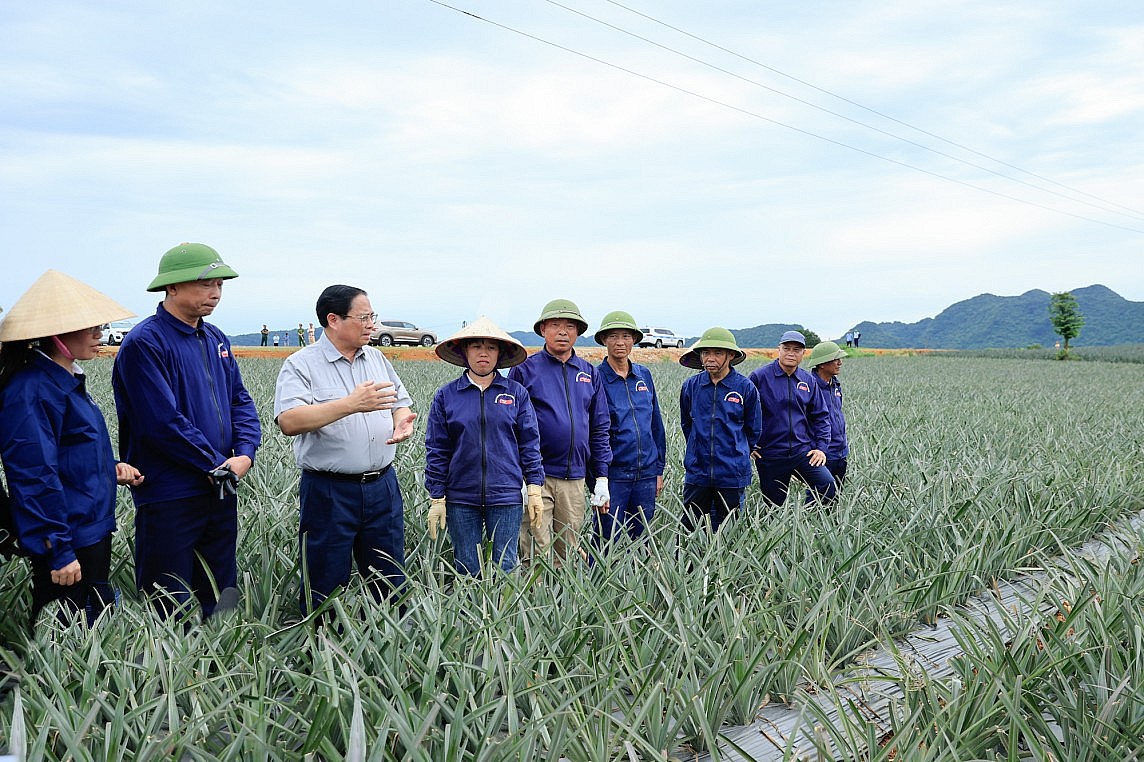 Thủ tướng Chính phủ kiểm tra thi công tuyến đường Đông - Tây tỉnh Ninh Bình