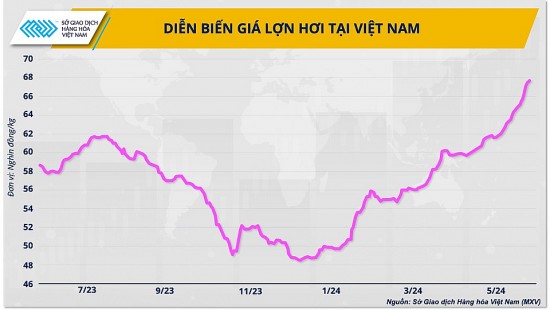 3 giải pháp cho ngành chăn nuôi vững đà tăng trưởng năm 2024