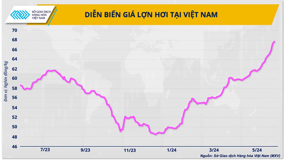 3 giải pháp cho ngành chăn nuôi vững đà tăng trưởng năm 2024