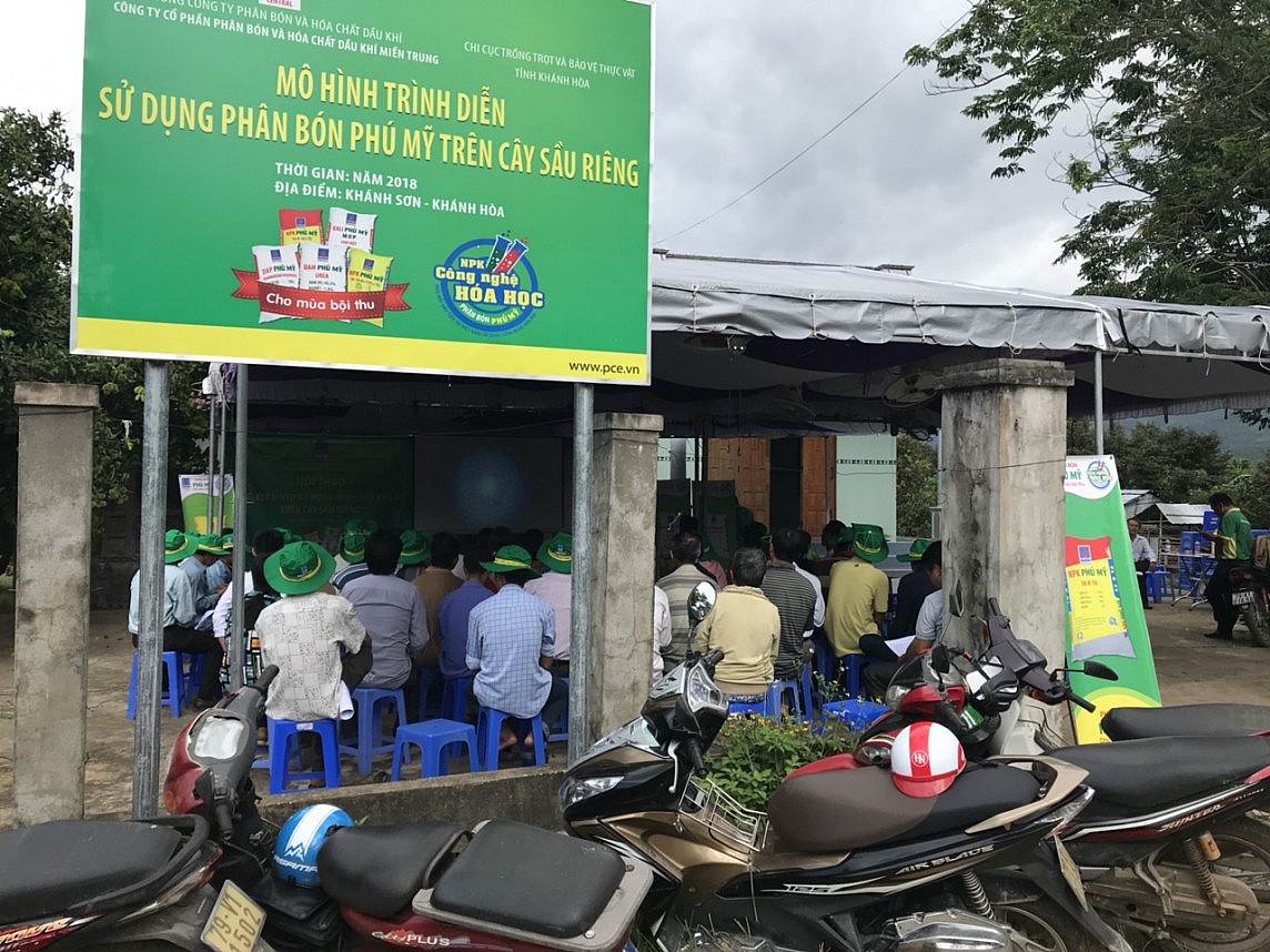 Phân bón Phú Mỹ: Bí quyết cho cây dưa và sầu riêng ở miền Trung – Tây Nguyên những mùa bội thu