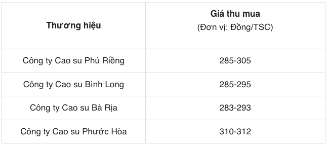 Dự báo giá cao su ngày 30/5/2024: Tăng chóng mặt?