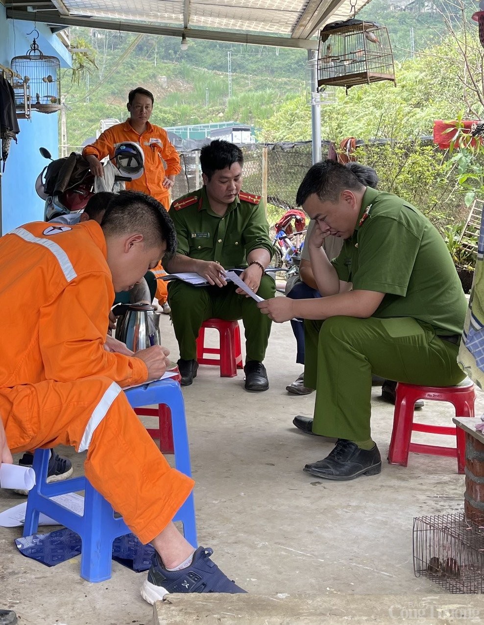 Lào Cai: Điện lực Sa Pa phát hiện vụ trộm cắp điện để chiếu sáng trồng hoa