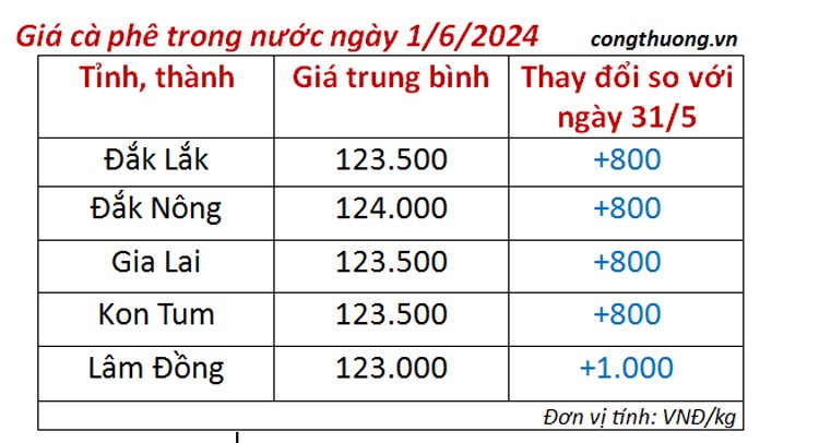 Giá cà phê hôm nay ngày 1/6/2024: