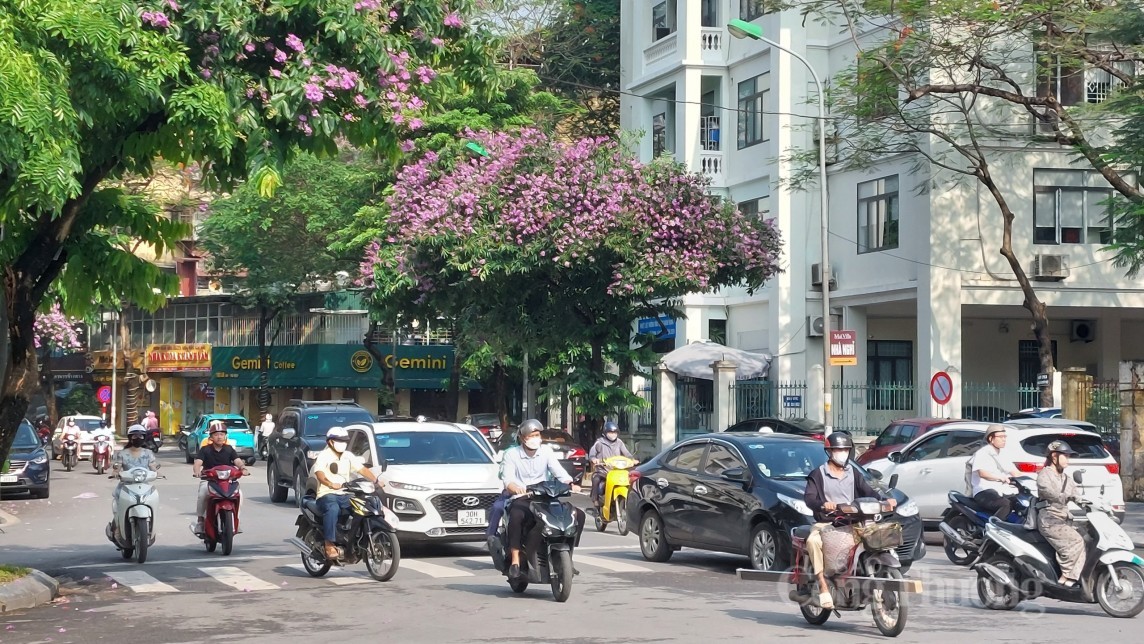 Thời tiết hôm nay ngày 2/6/2024: Ngày nắng nóng, cả nước chiều tối có mưa rào và dông