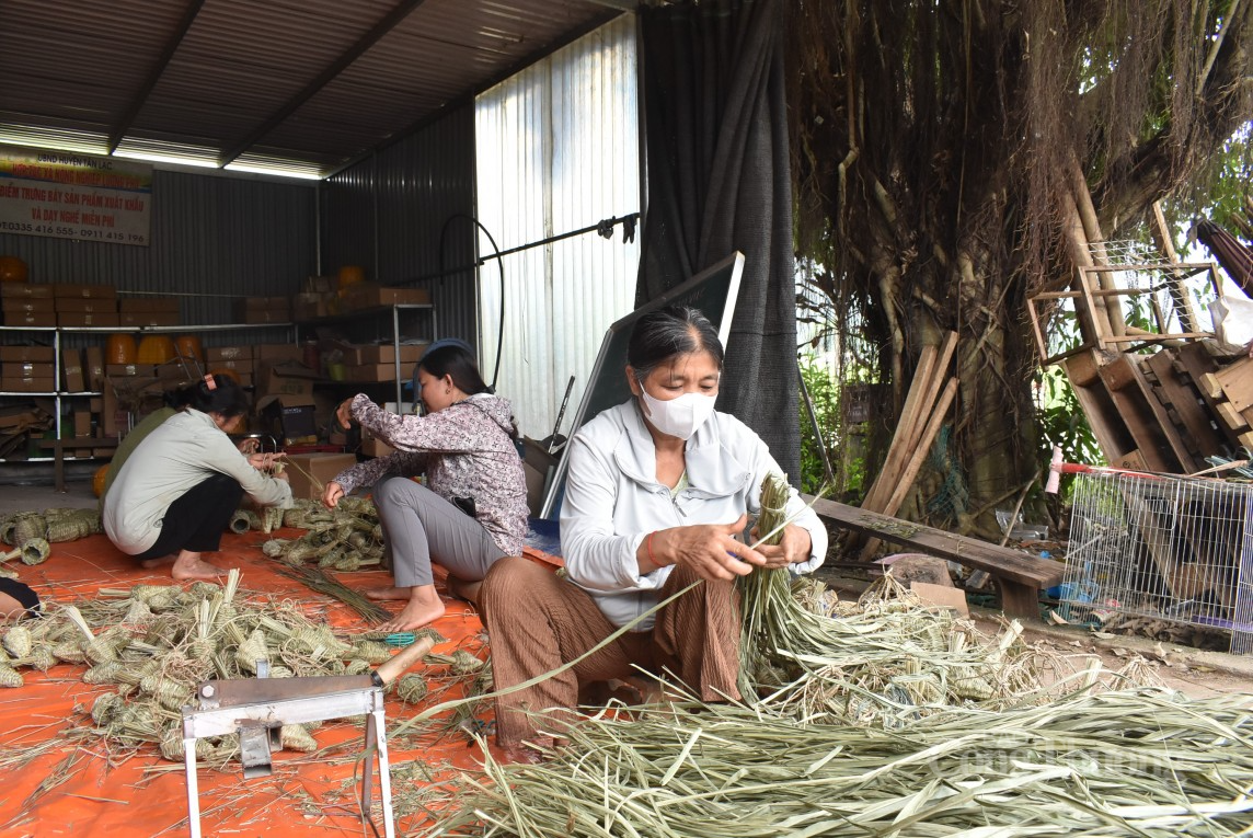 Hoà Bình: Về nơi biến cỏ tranh thành ngoại tệ, người dân thoát nghèo