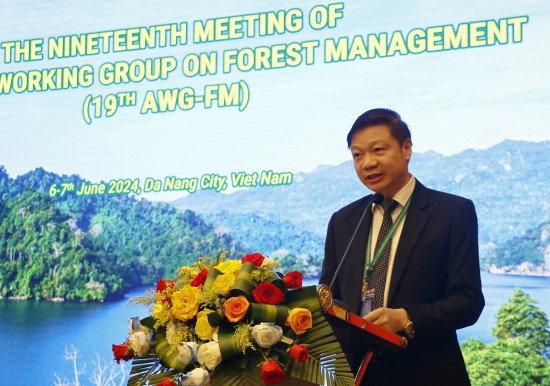 hoi nghi to cong tac asean ve quan ly rung ben vung