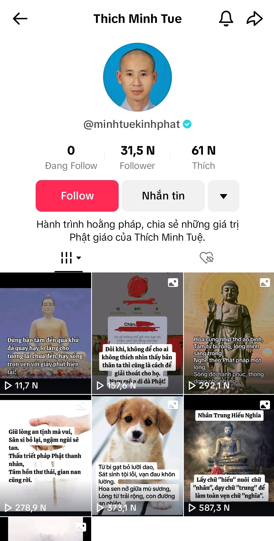 Bất ngờ xuất hiện tài khoản TikTok tick xanh mang tên Thích Minh Tuệ