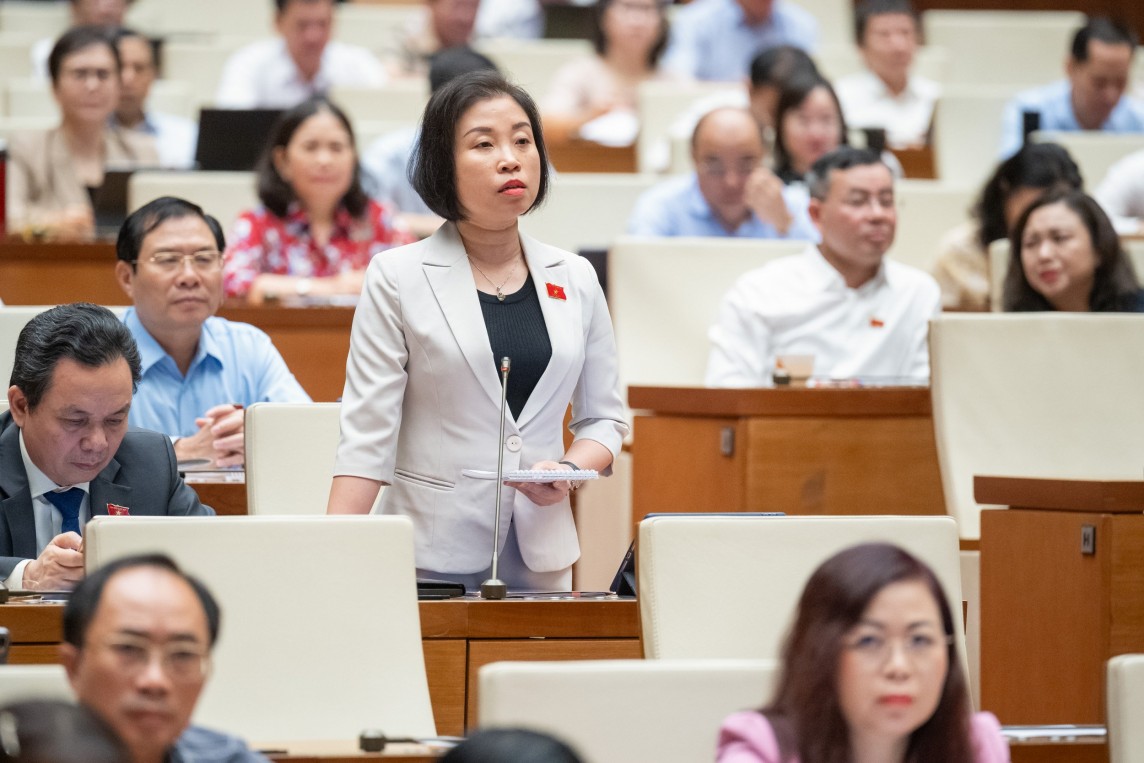 Đại biểu Phạm Thị Thanh Mai - Đoàn ĐBQH Tp. Hà Nội