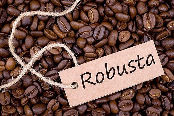 giá cà phê Robusta bất ngờ giảm nhiệt