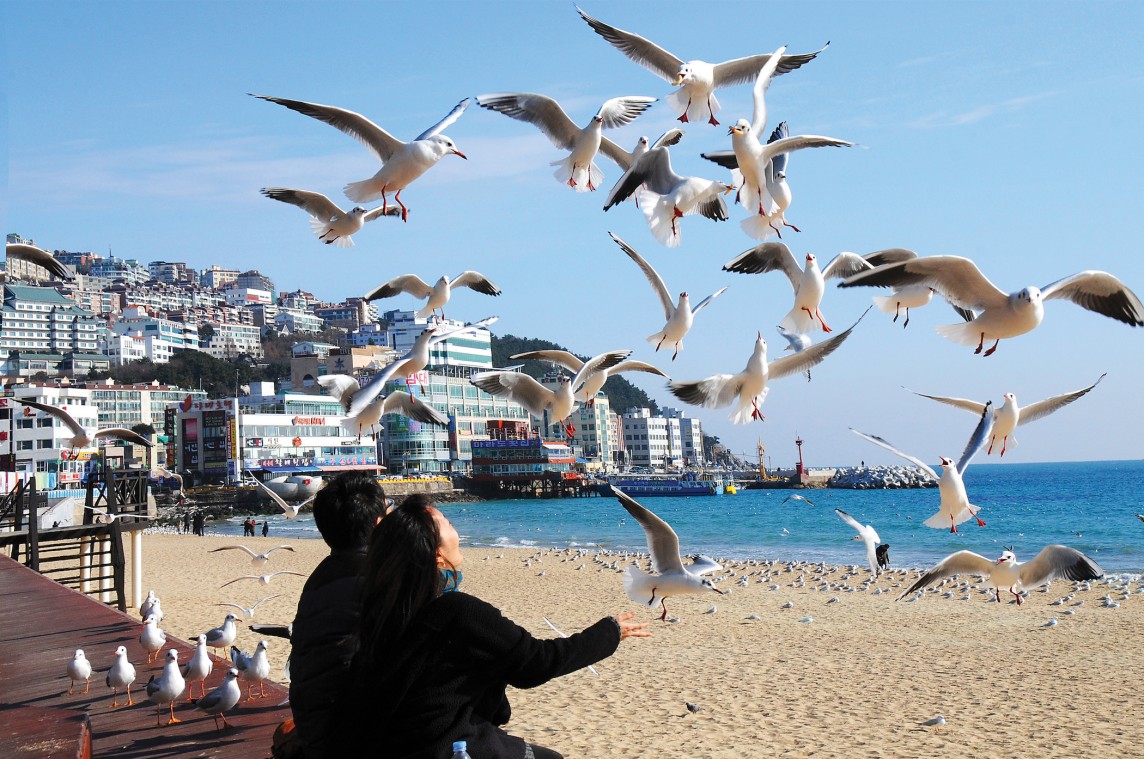 Haeundae Beach - Busan