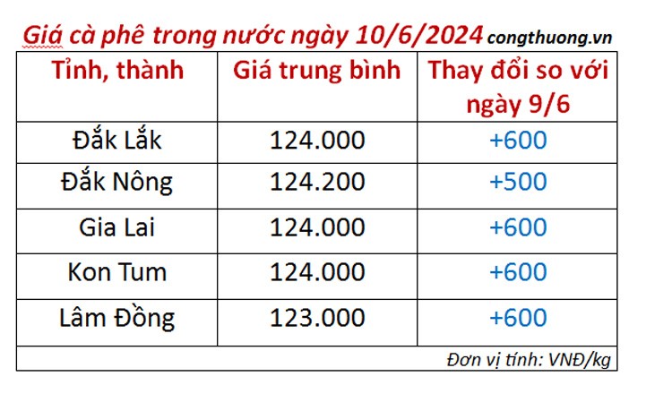 Giá cà phê hôm nay ngày 10/6/2024: