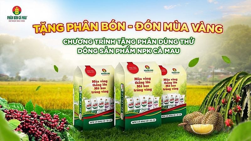 Chương trình được triển khai trong cao điểm vụ Hè Thu, giúp bà con canh tác hiệu quả, tiết kiệm, sẵn sàng cho mùa vàng thắng lớn