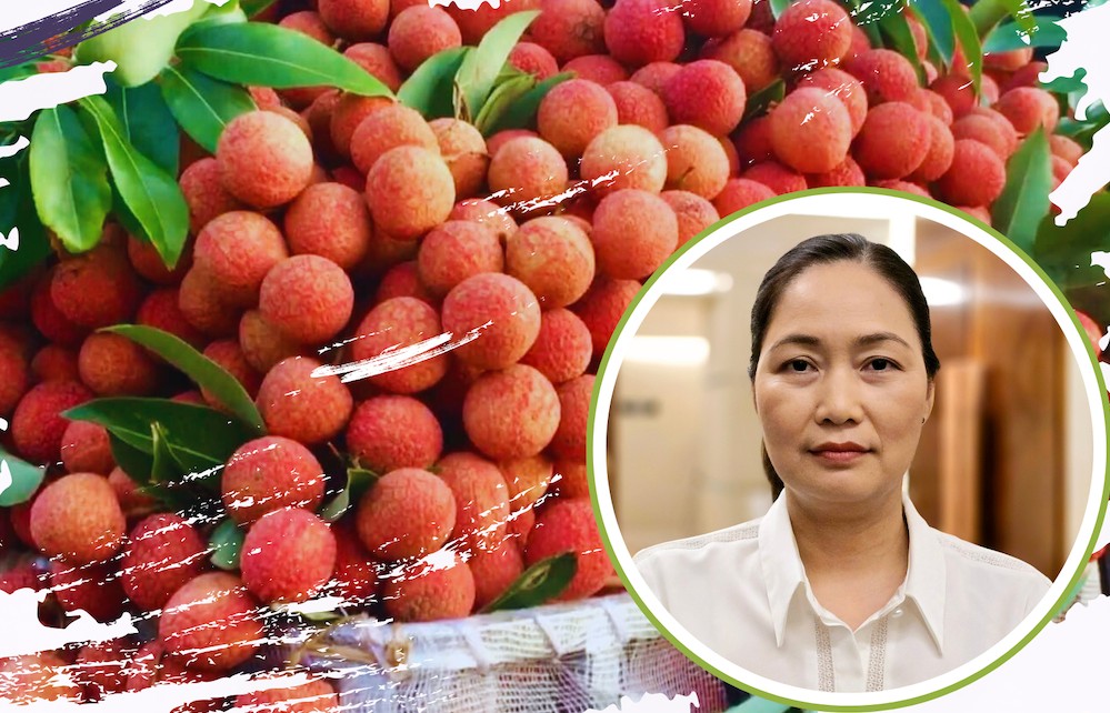 Hải Dương: Xúc tiến thương mại 