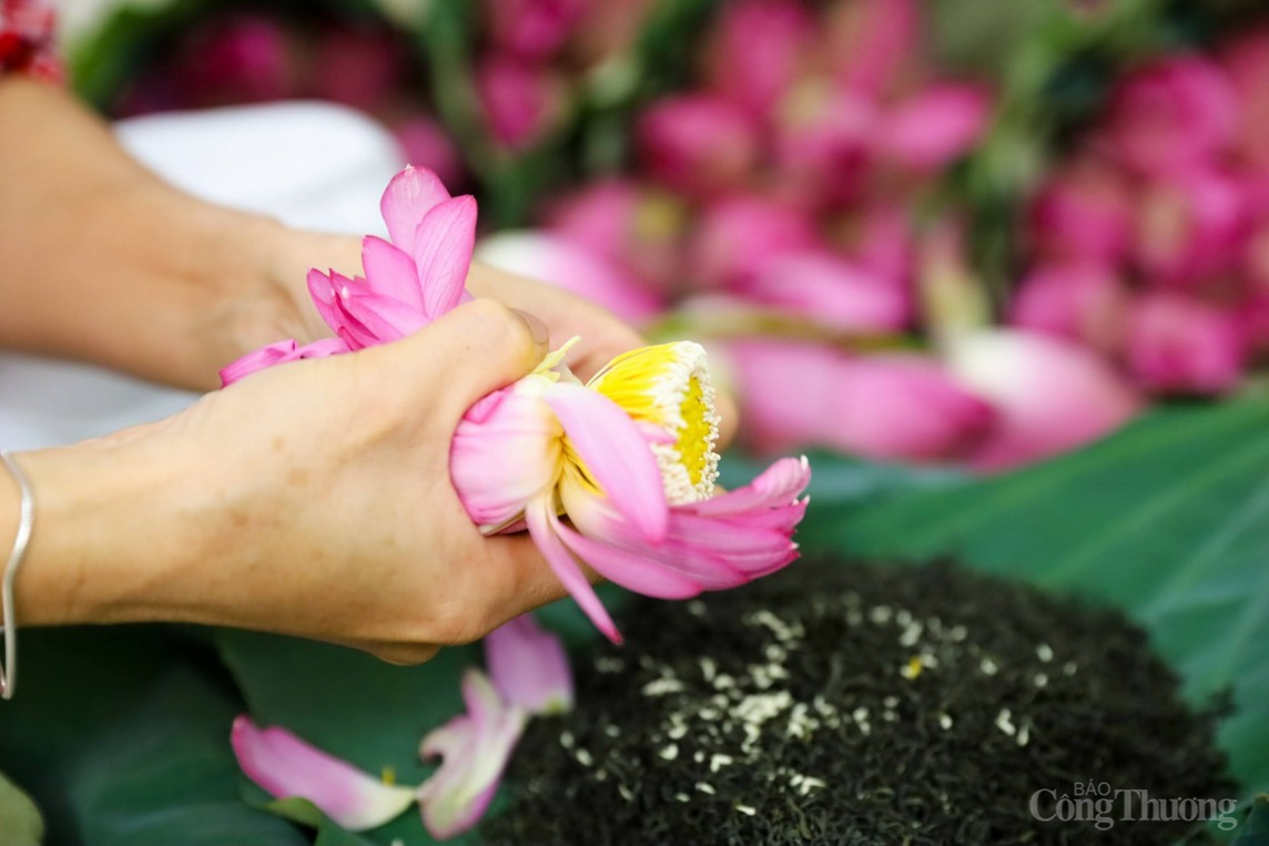 Cận cảnh quy trình làm trà sen đầy công phu của người Hà Nội Cận cảnh quy trình làm trà sen đầy công phu của người Hà Nội