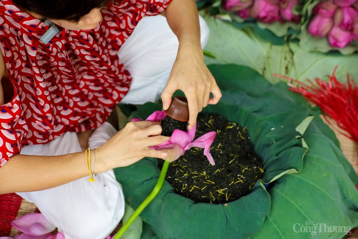 Cận cảnh quy trình làm trà sen đầy công phu của người Hà Nội Cận cảnh quy trình làm trà sen đầy công phu của người Hà Nội