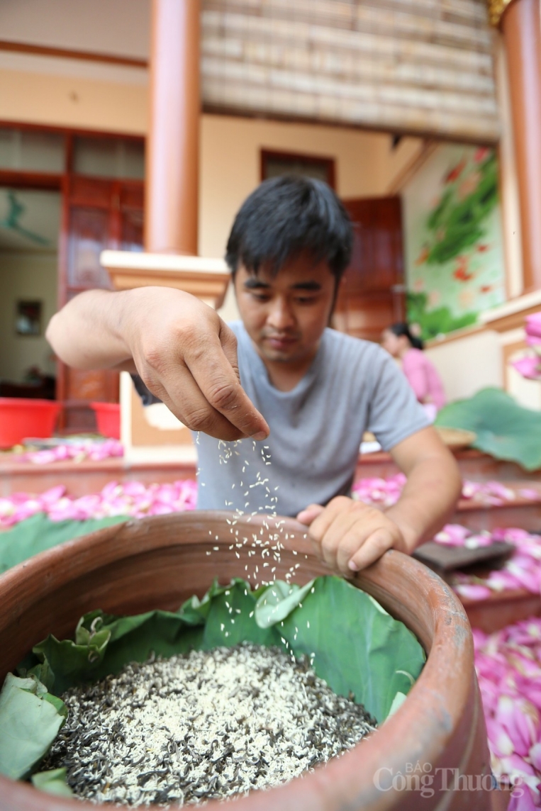 Cận cảnh quy trình làm trà sen đầy công phu của người Hà Nội Cận cảnh quy trình làm trà sen đầy công phu của người Hà Nội