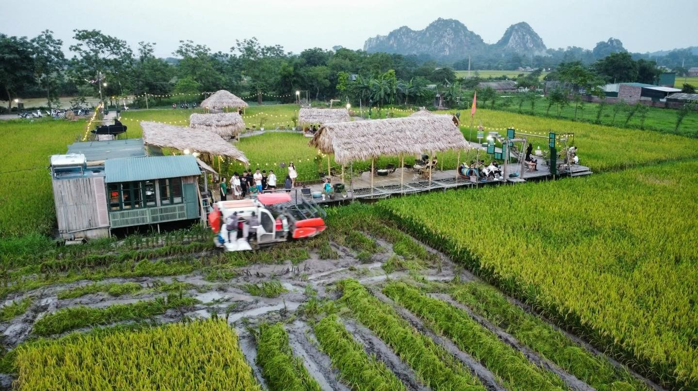 Độc lạ quán cà phê ruộng lúa chữa lành cực chill ngay ở Hà Nội