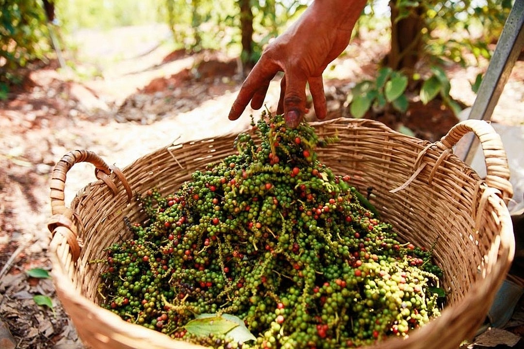 với các doanh nghiệp, việc điều chỉnh giá nhập vào và giá bán ra là cực kỳ quan trọng để tránh rủi ro về giá