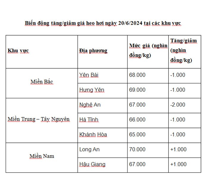 Giá heo hơi hôm nay ngày 20/6/2024: Giảm nhẹ ở nhiều địa phương