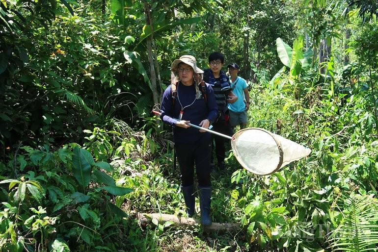 Lâm Đồng: Bảo tồn đa dạng sinh học cần có những định hướng cụ thể nào?