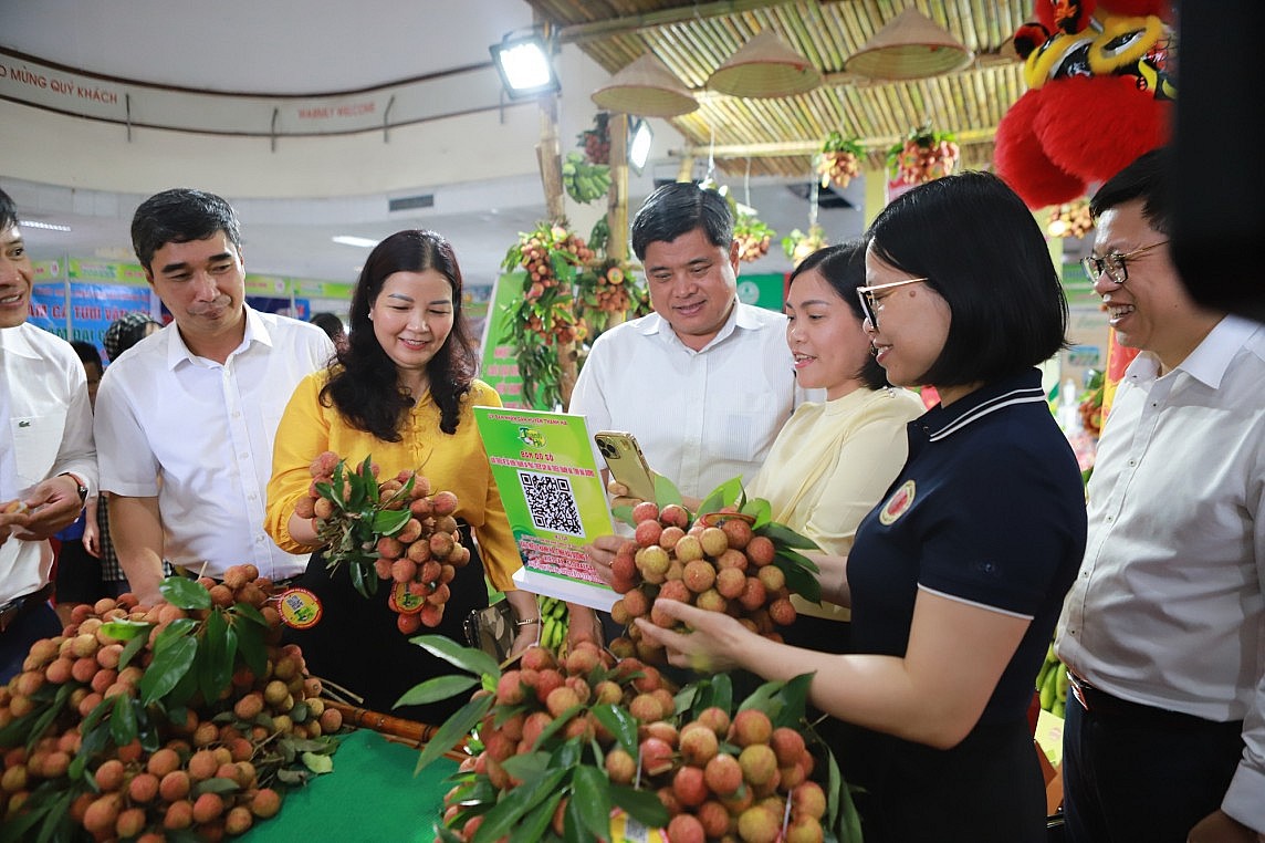 Gian hàng trưng bày vải thiều Thanh Hà tại Phiên chợ nông sản, đặc sản các tỉnh đồng bằng sông Hồng