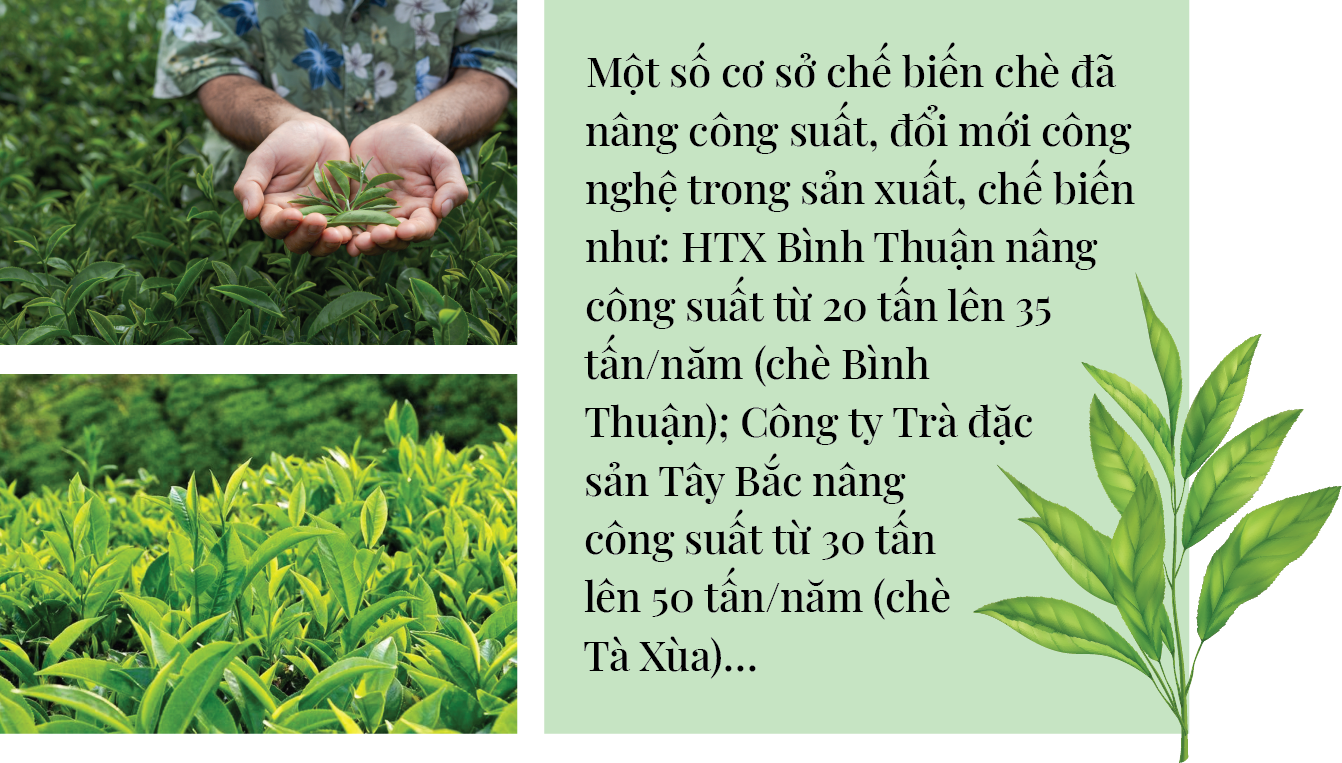 Longform | Đầu tư chế biến sâu: Mở “cánh cửa” tiêu thụ bền vững cho nông sản Sơn La