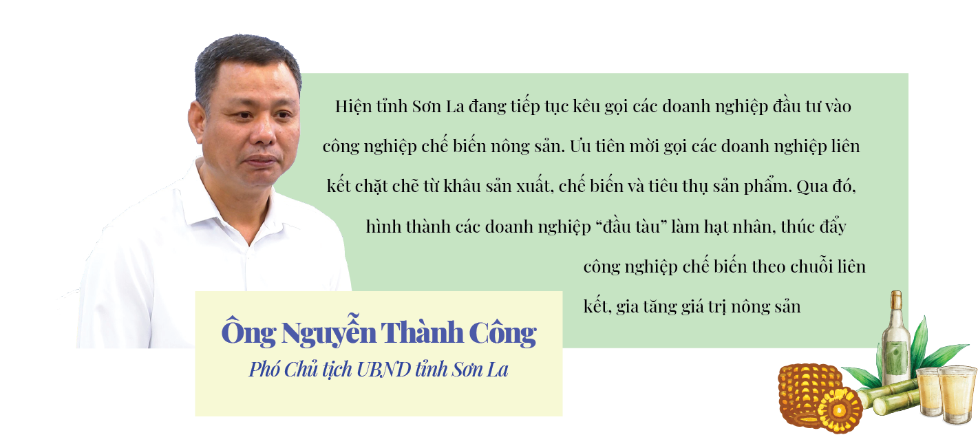 Longform | Đầu tư chế biến sâu: Mở “cánh cửa” tiêu thụ bền vững cho nông sản Sơn La