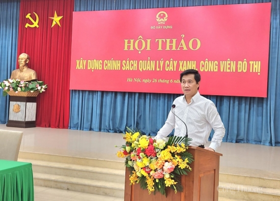 nhieu bat cap duoc chi ra trong quan ly cay xanh cong vien do thi