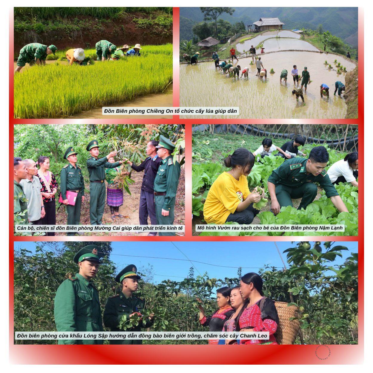 Longform | Bài 1: Gian nan đấu tranh chống ma túy vùng biên