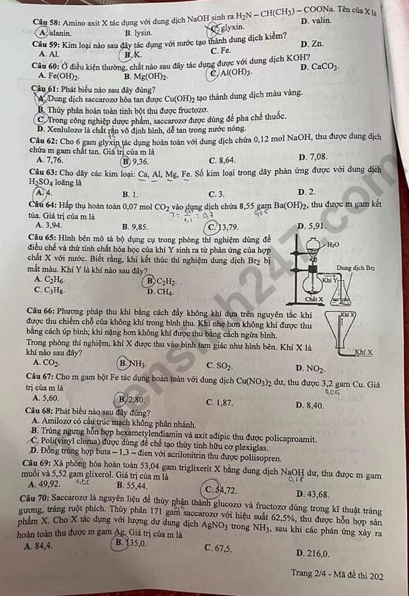 Cập nhật Đề thi và đáp án môn Hoá học mã đề 202 tốt nghiệp THPT 2024