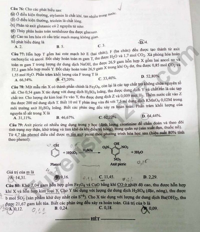 Cập nhật Đề thi và đáp án môn Hoá học mã đề 205 tốt nghiệp THPT 2024