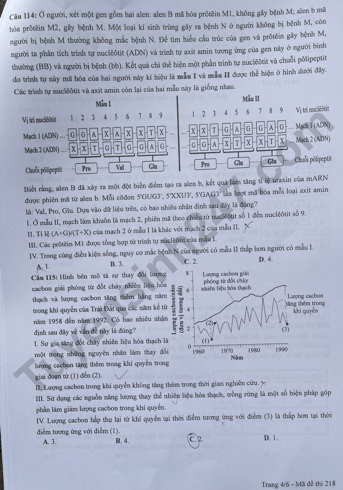 Dap an de thi tot nghiep THPT 2024 mon Sinh - Ma de 218